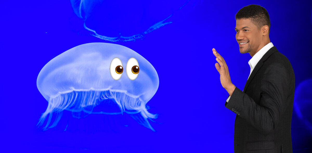 You are more closely related to comb jellies than sponges, new study claims
