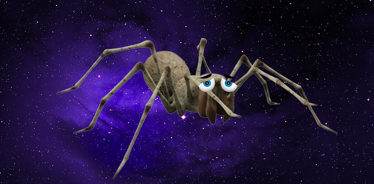 Spiders in space are so unhappy they can’t even build decent webs