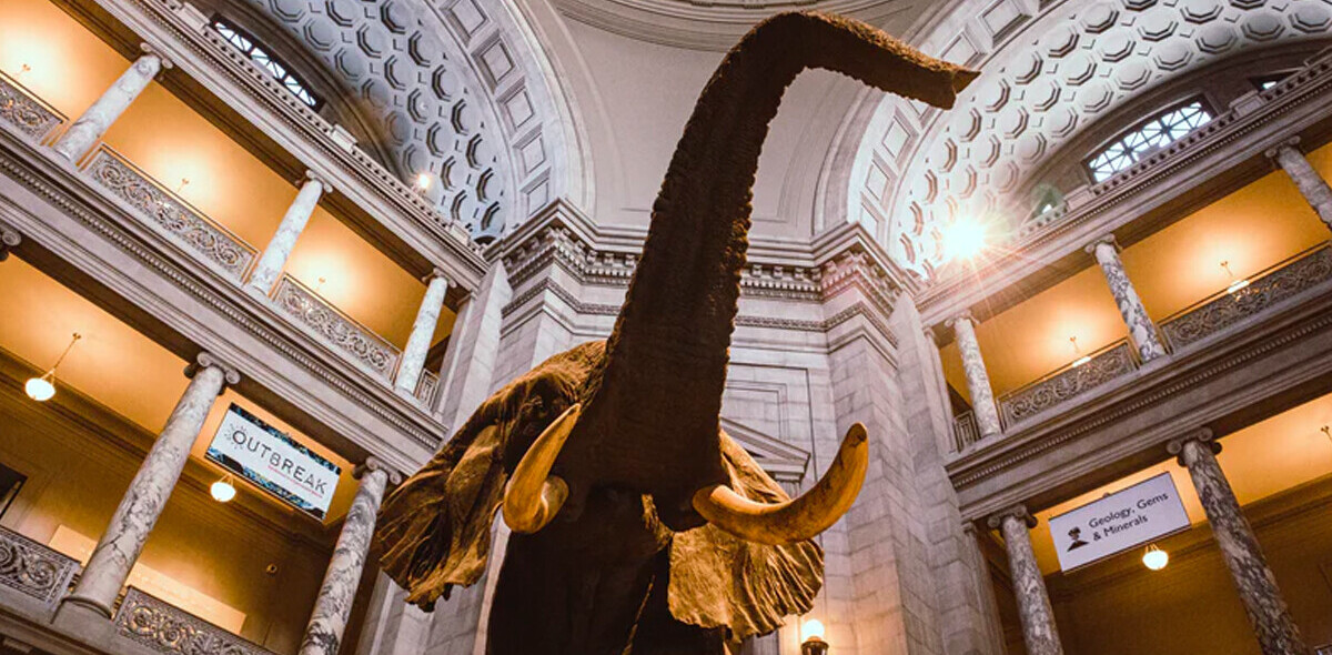 Night at the Museum brought to life by new mixed reality tech