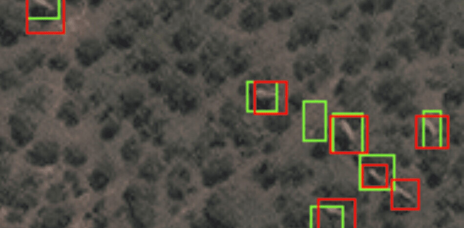 New AI system counts endangered elephants from space