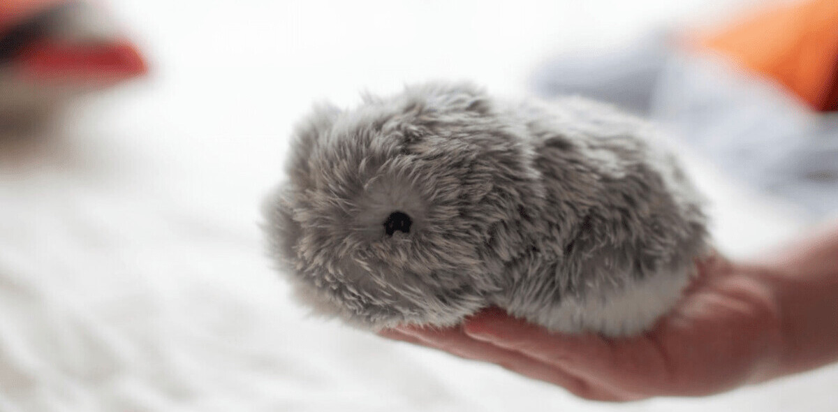 This cute AI pet will fill the deep, dark void in your life