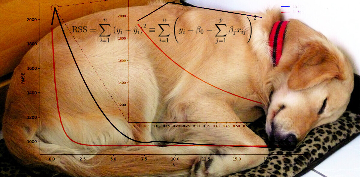 How to turn your dog’s nap time into a regularized linear model