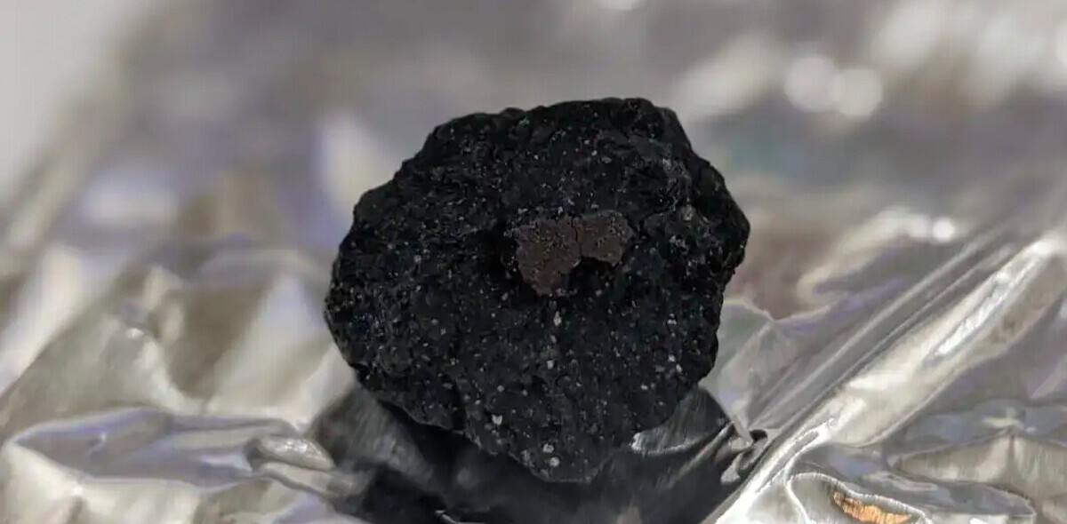 This rare meteorite found on a driveway might hold the answer to our solar system’s origin
