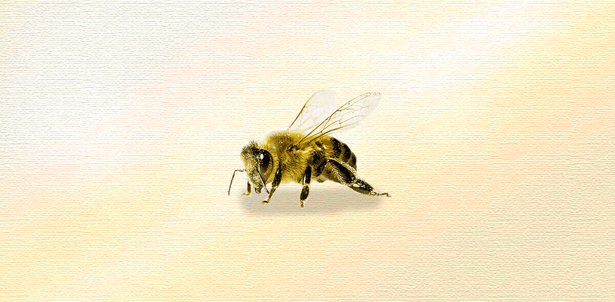 How to generate buzz in a buzzless industry