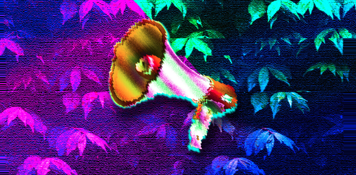 Founders, you’re getting sustainability messaging all wrong