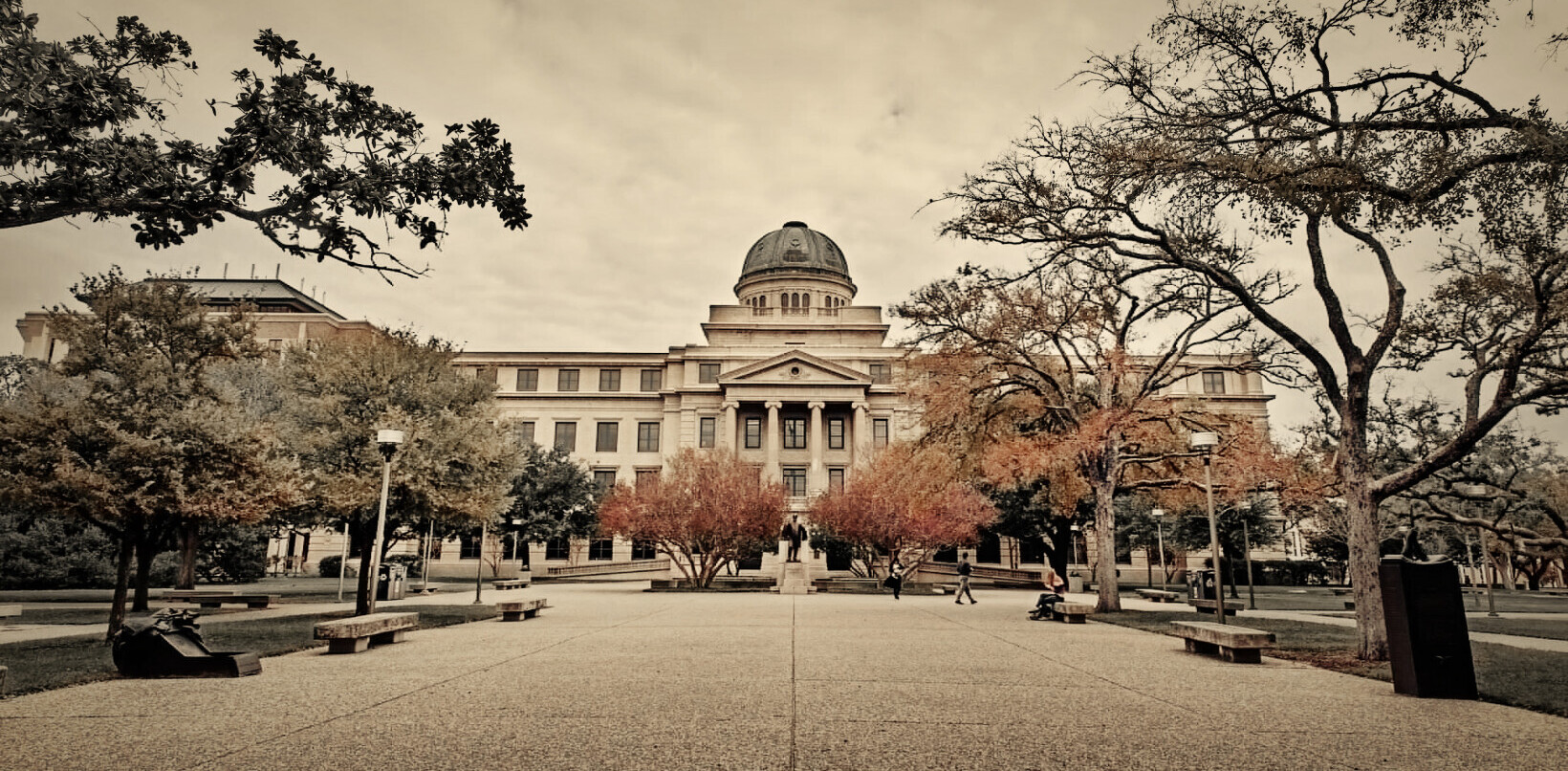 Texas A&M drops ‘race’ from student risk algorithm following Markup investigation