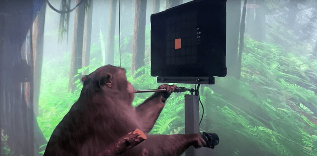 Watch a cyborg monkey play Pong with its mind, thanks to Elon Musk’s Neuralink