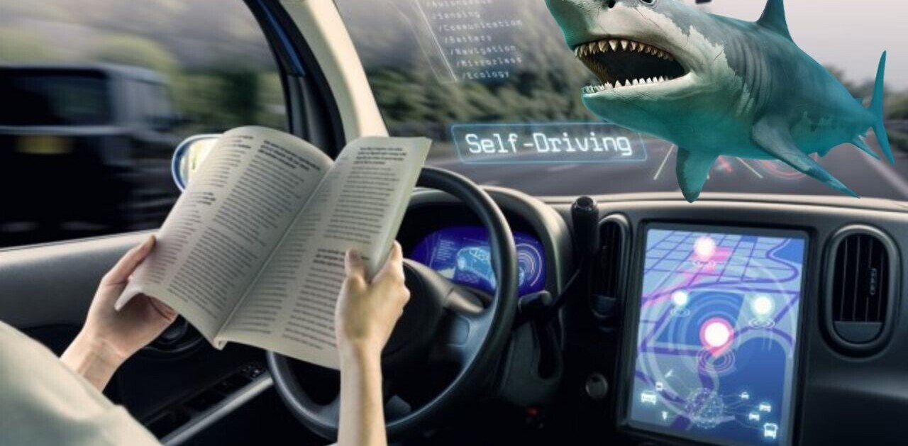 3 in 10 Americans would rather swim with sharks than ride an autonomous vehicle