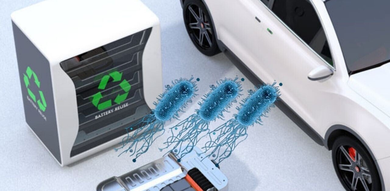 Bacteria – yes, bacteria – could be the key to recycling EV batteries