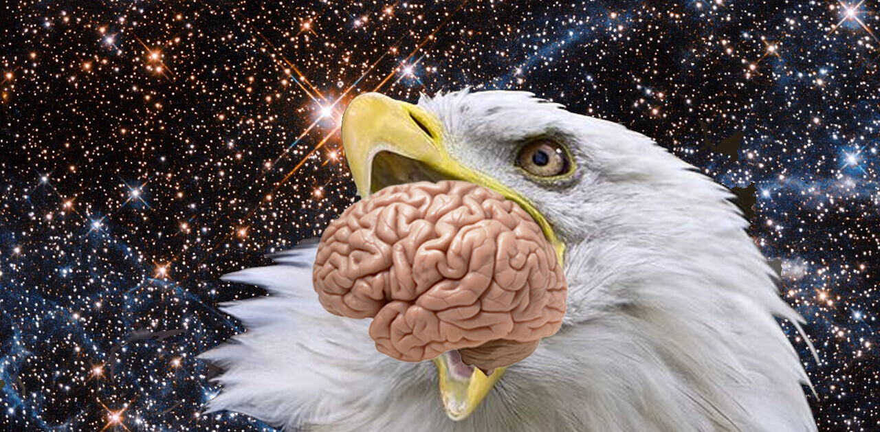 What happens if we put a ‘sentient’ AI inside of a lab-grown brain?