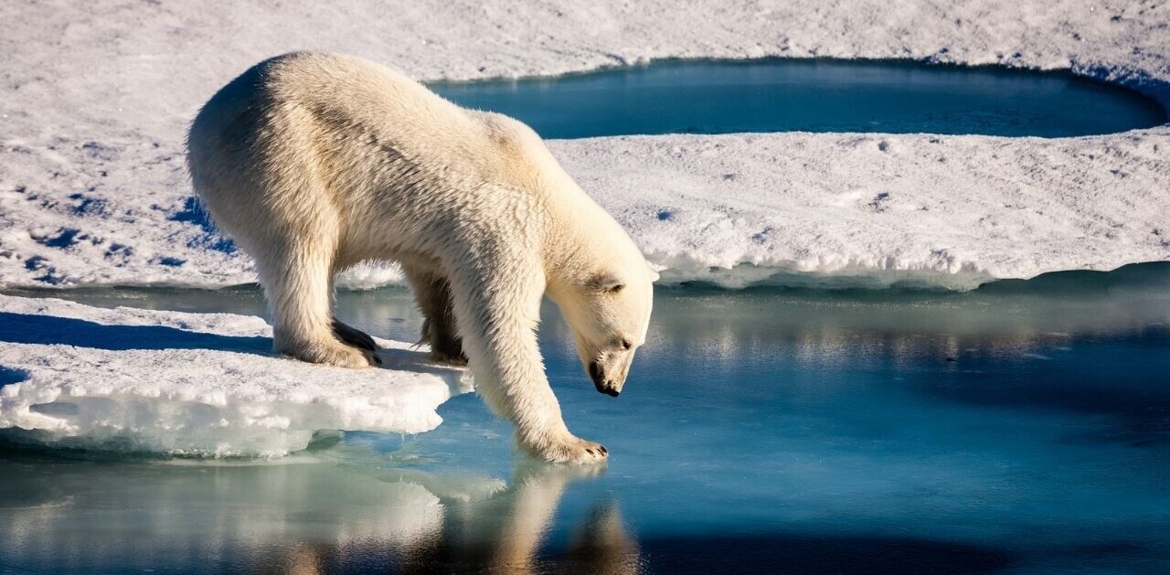 AI tool predicts Arctic sea ice loss caused by climate change