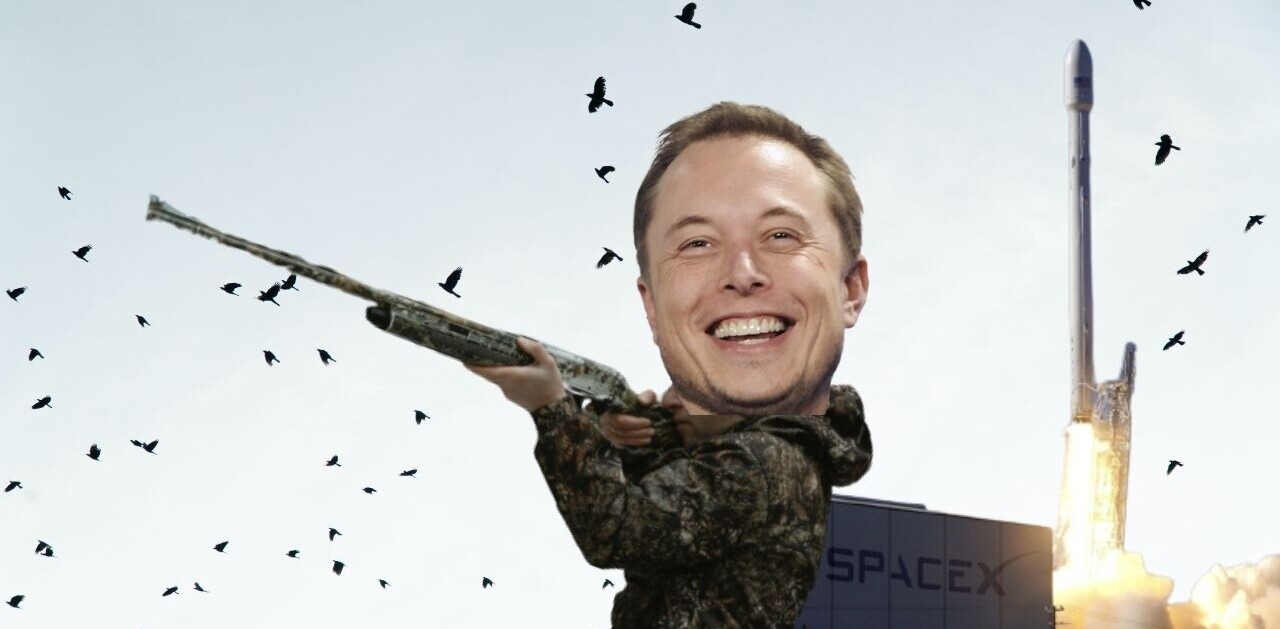 SpaceX’s success is built on the bones of tiny birds