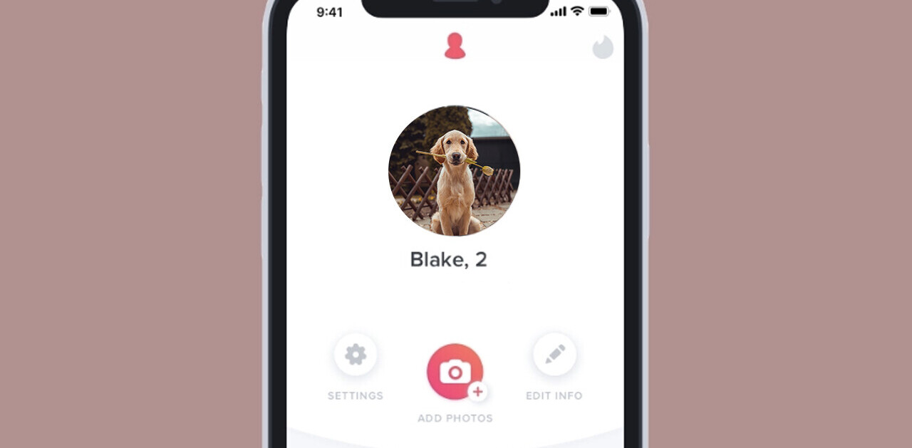 Loyal as a dog — study shows dogs signal commitment in men’s dating profiles