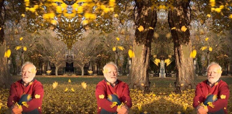 Hide the Pain Harold’s new autumn ‘stock photos’ perfectly capture your dark day blues