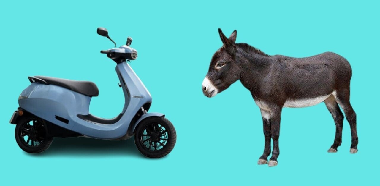 Pray for the man who paraded an Ola scooter through town with a donkey