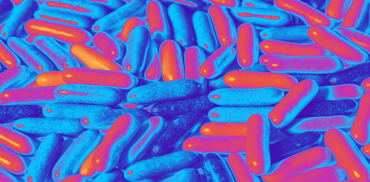 3D-printed personalized meds are almost here, thanks to this Finnish startup