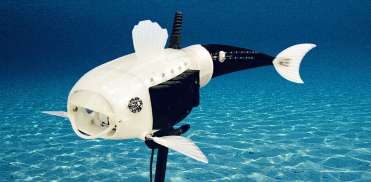 Open-source fish robot starts collecting microplastics from local lakes in the UK