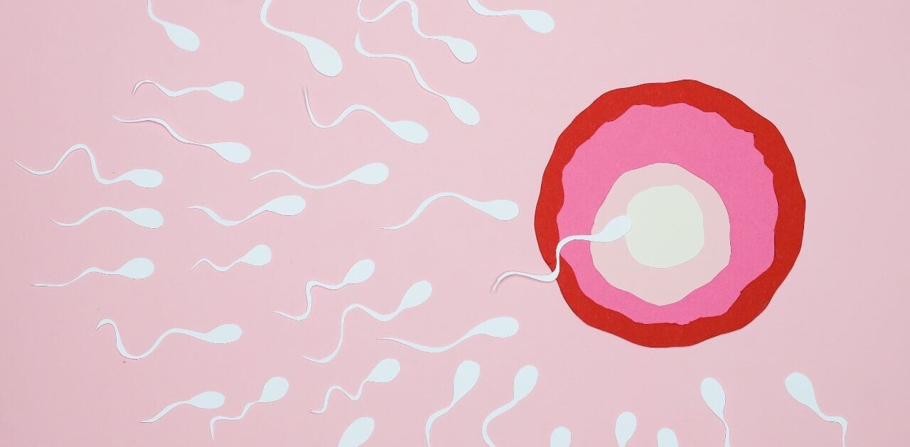Startup unveils AI breakthrough for male fertility diagnosis