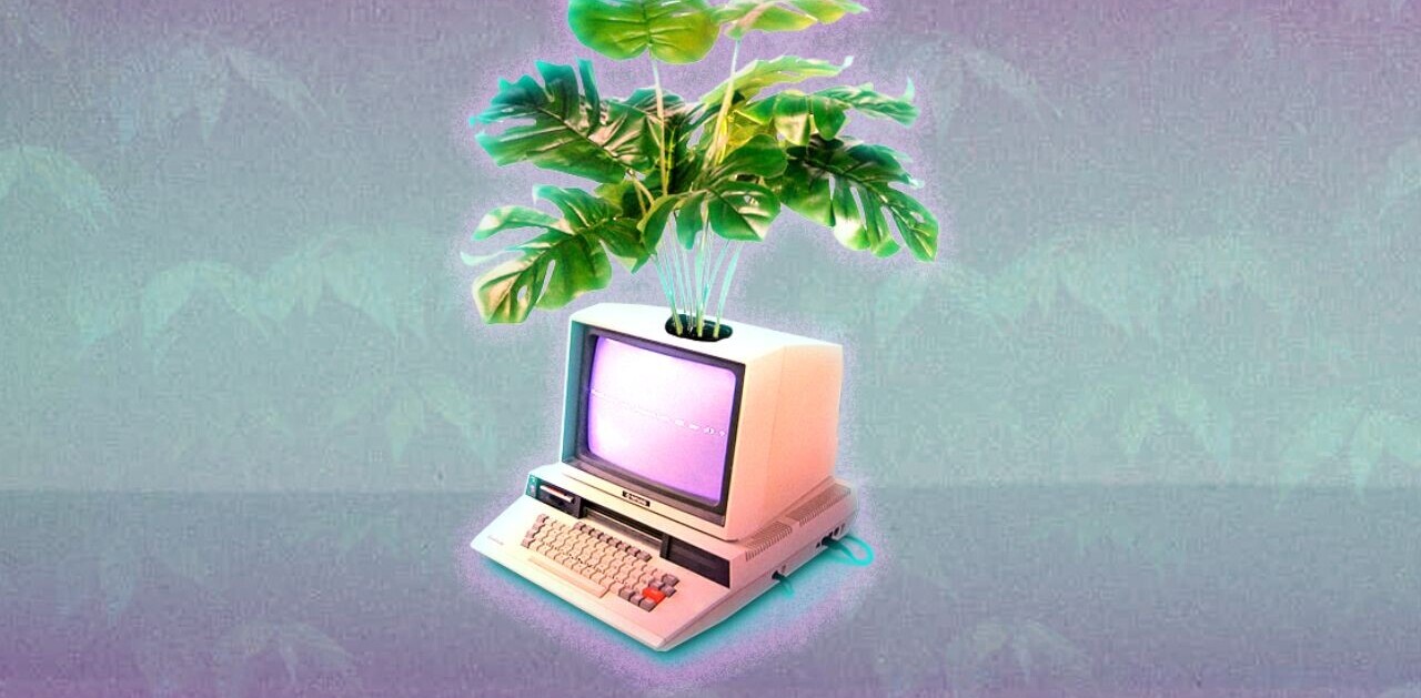 Why Zig has become the highest-paying programming language