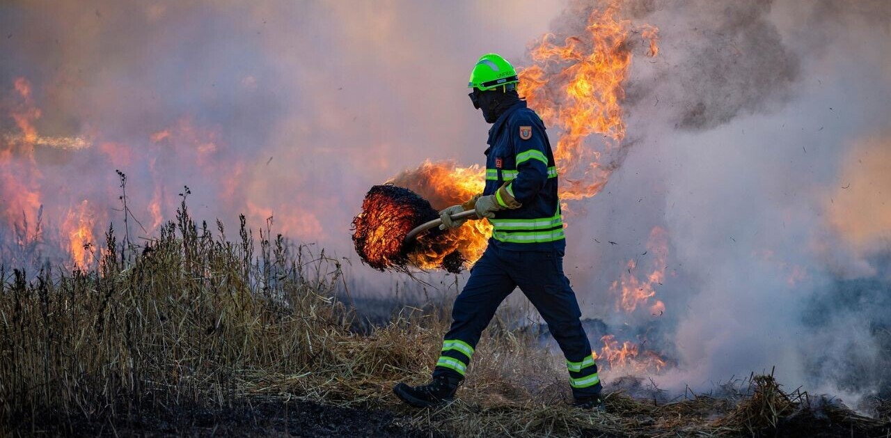 This wildfire simulator can predict risks to individual homes anywhere on Earth
