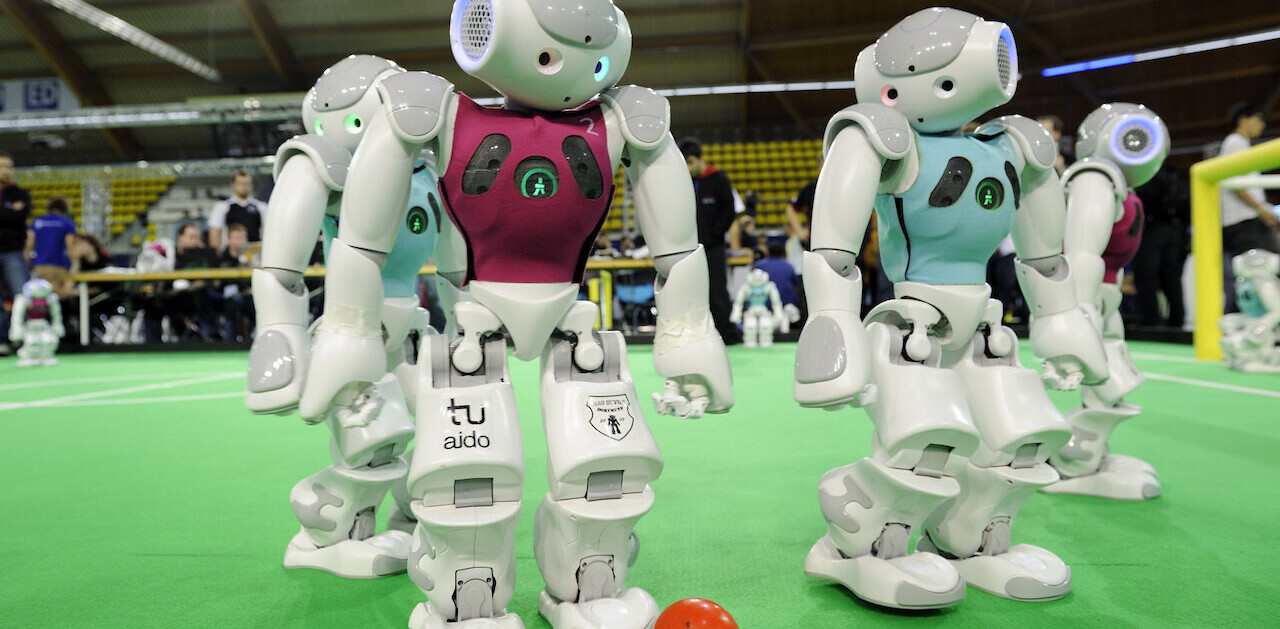 Bananas, champagne, and robots: Why automation still needs humans