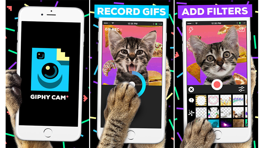 Giphy Cam aims to make your crazy impulses easier to capture