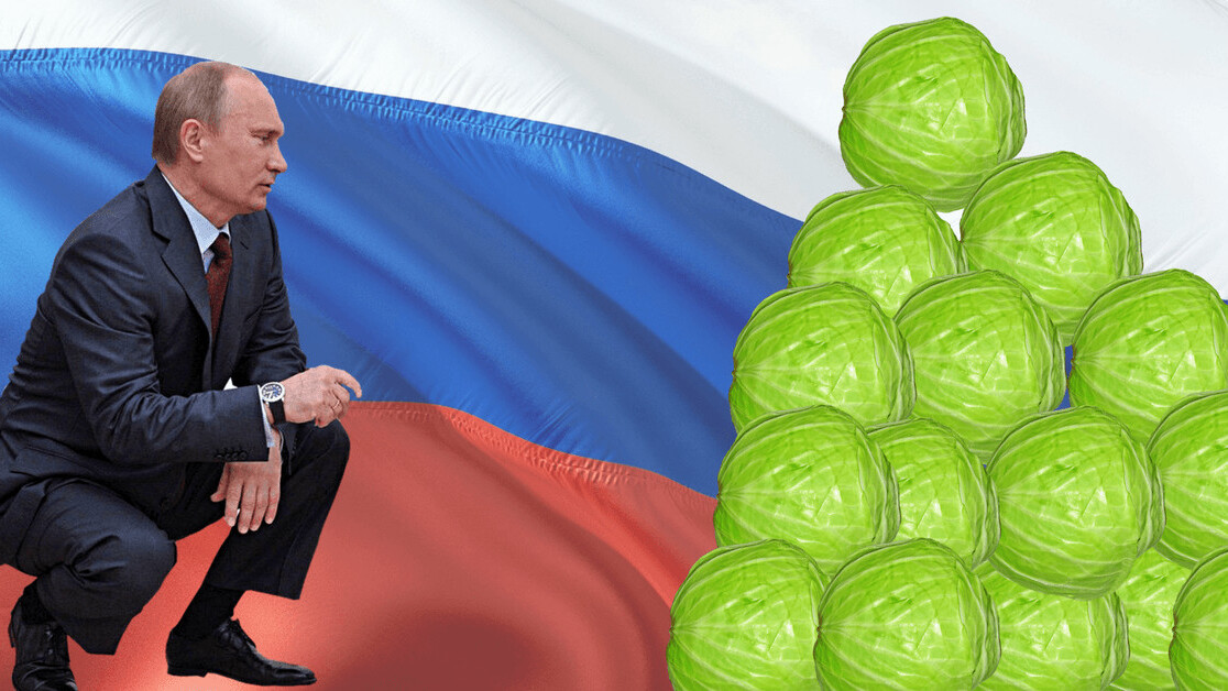 The Russian cabbage conspiracy might be the most boring fake news ever
