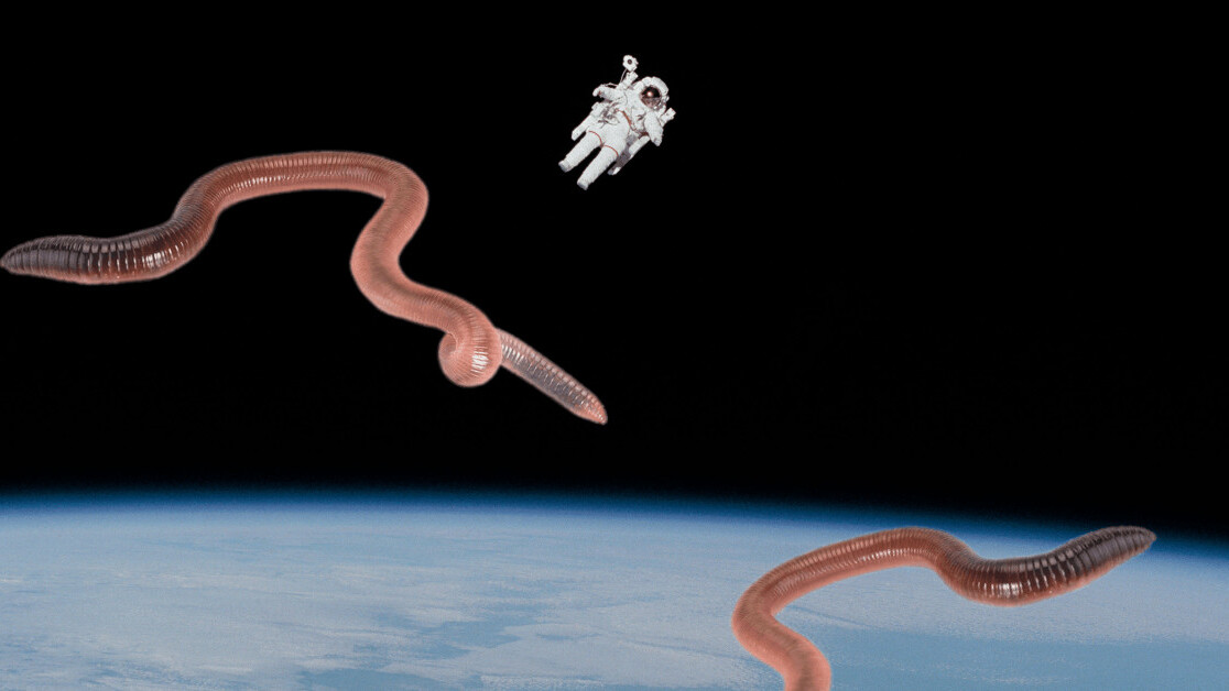 Here’s why NASA is sending worms to space