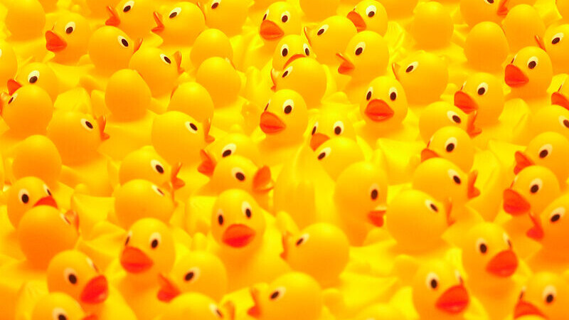 WiFi network made of rubber ducks could save lives during natural disasters