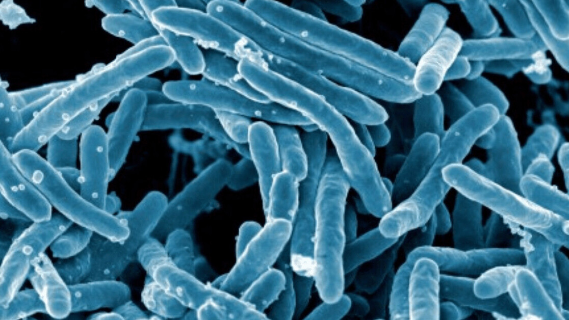 MIT algorithm discovers antibiotic that can fight drug-resistant diseases