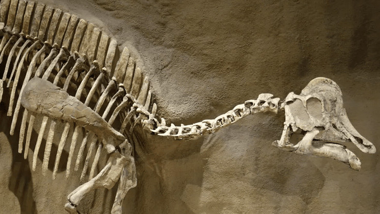 We might’ve finally found dinosaur DNA, but some scientists don’t think it’s the real deal