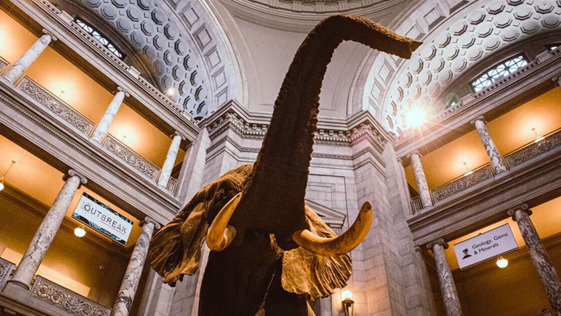Night at the Museum brought to life by new mixed reality tech