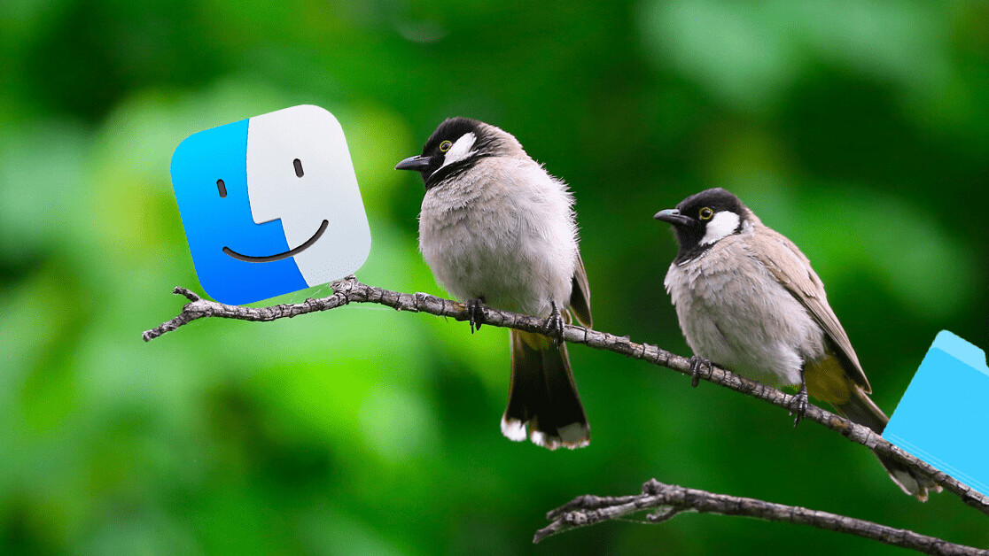 This adorable macOS extension names new folders after birds