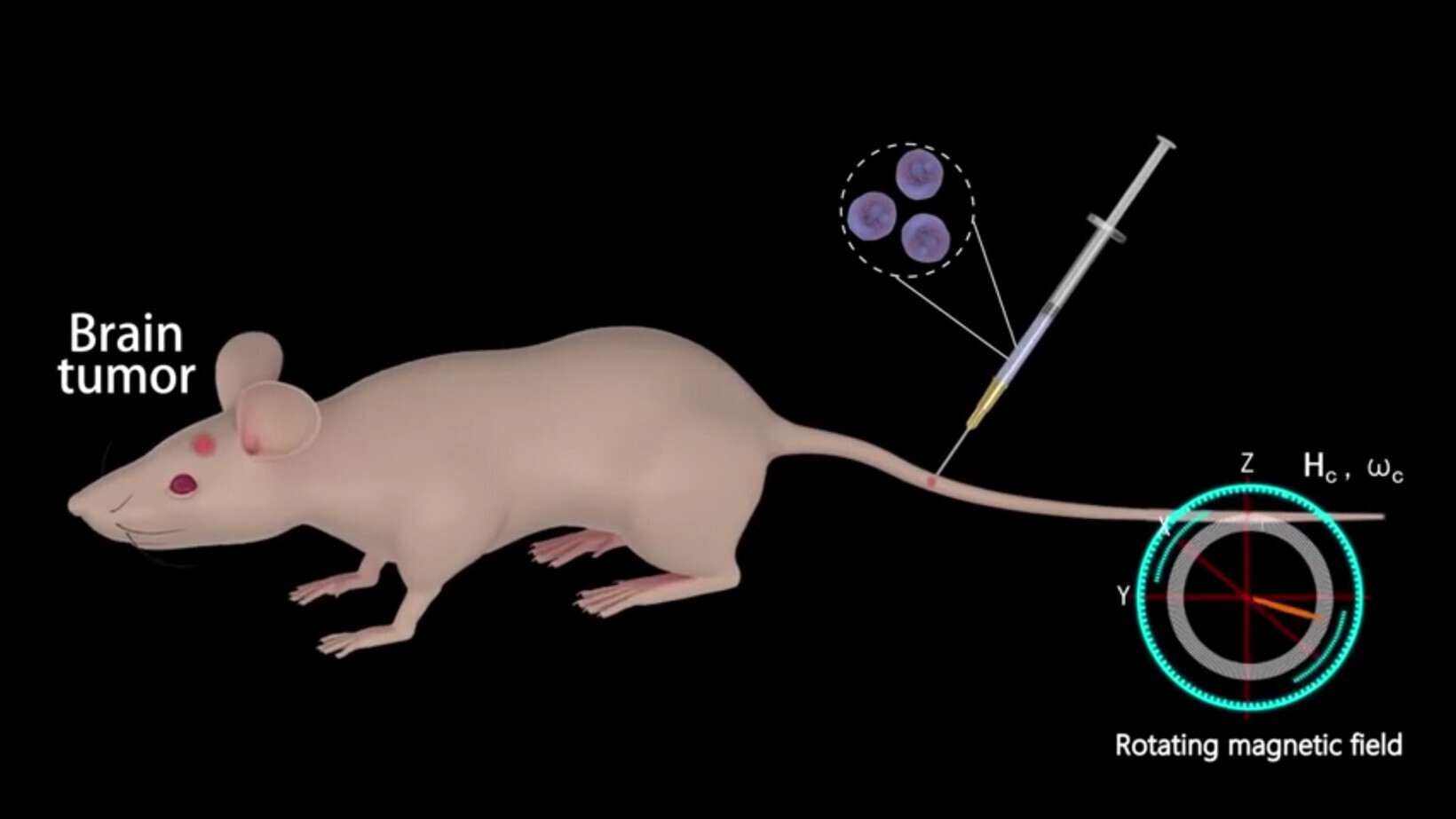 These Trojan horse ‘neurobots’ smuggle drugs past the blood-brain barrier