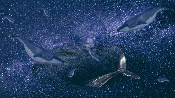 How Einstein, Elon, and Uncle Sam could ruin cryptocurrency by 2050