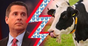 Trump&#8217;s censorship czar for TRUTH social media once sued a cow over Twitter beef