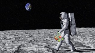 European Space Agency unveils new plan for growing plants on the Moon