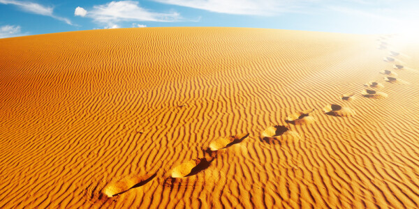It’s not Silicon Valley: Tracking the future elsewhere