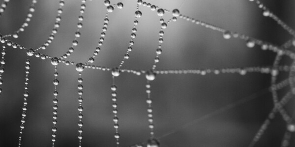 An information paradox: How Google’s new privacy policy may harm our discovery process