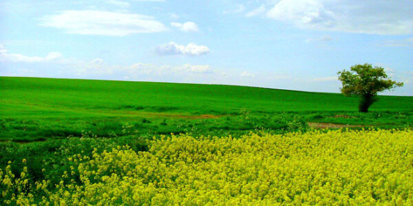 12 companies with online solutions for big offline problems