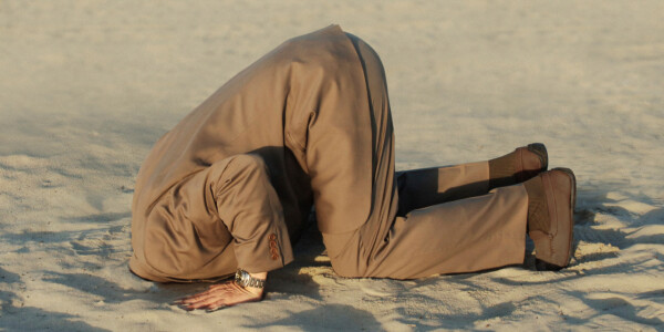 How groupthink and denial can ruin startups