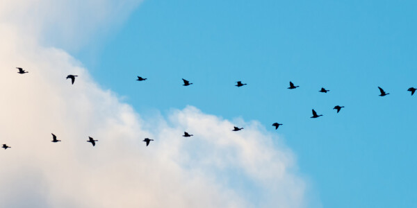 Migrating your application to the cloud