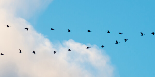 Migrating your application to the cloud