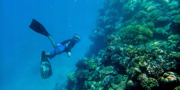 The Great Barrier Reef: On assignment with Nat Geo and Microsoft Lumia