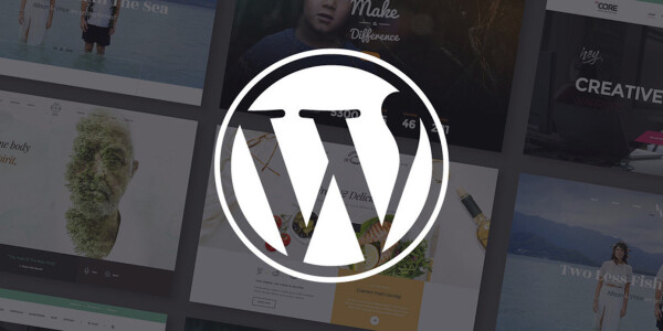 WordPress announces a toolkit to kickstart small to mid-sized newsrooms