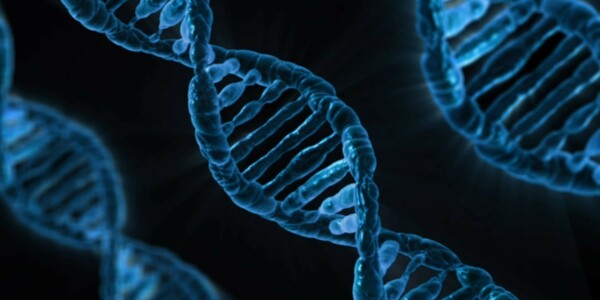 New CRISPR tool could eradicate viral diseases with long-range DNA shredding