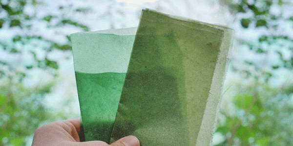 This Indonesian company wants to replace plastic with edible seaweed packaging