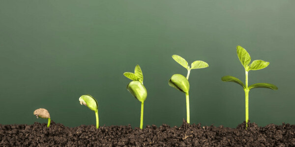 7 tactics you can implement right now to grow your startup