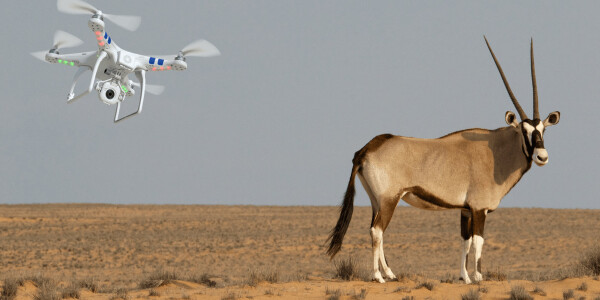 Niger will use drones to protect almost extinct antelope species