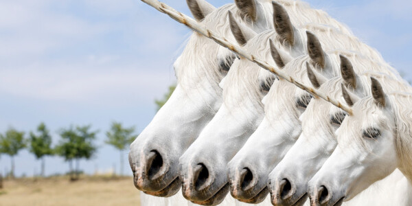 EU unicorn CTO shares his secret to hyper-growth scaling